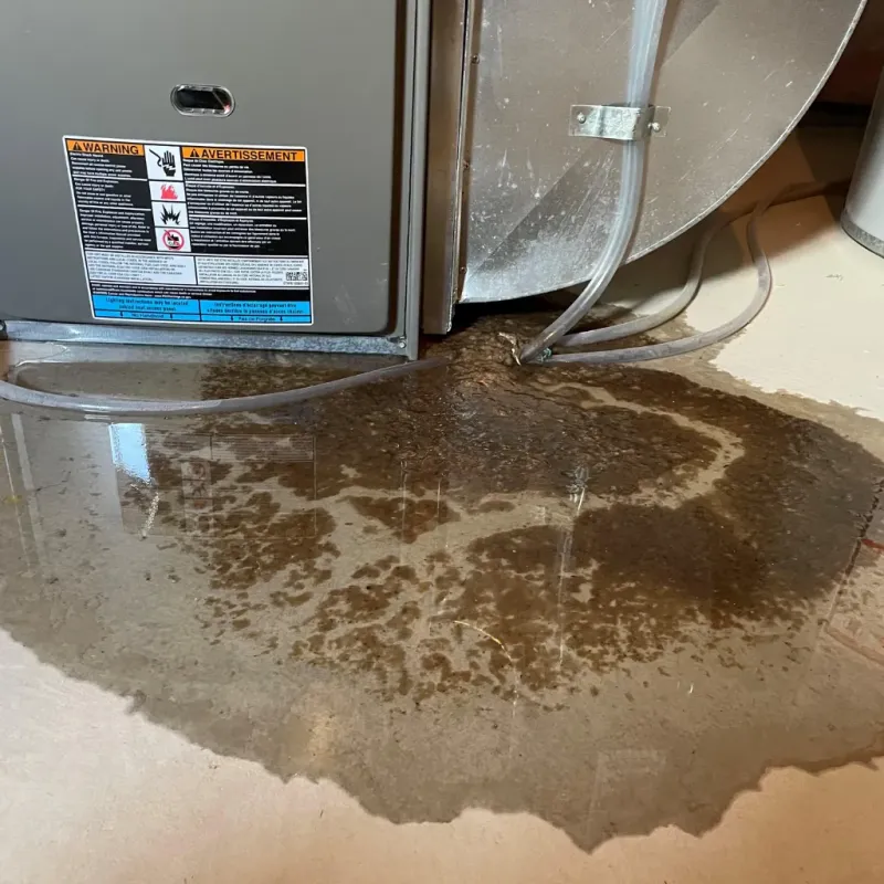 Appliance Leak Cleanup in Adrian, MO