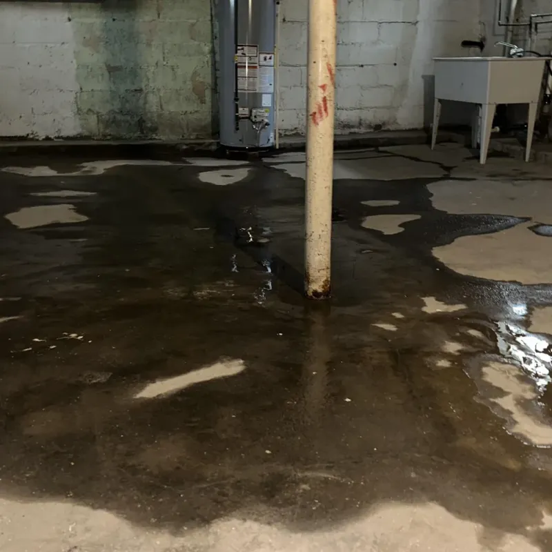 Emergency Water Extraction And Removal in Adrian, MO